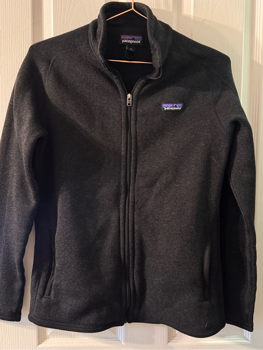 Patagonia Full-Zip Lightweight Fleece Jacket